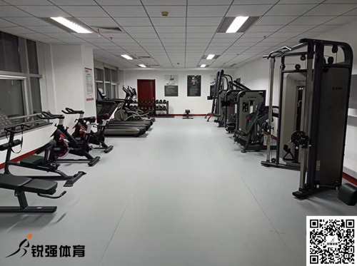 济南某集团采购的米兰(Milan)体育官方网站体育提供的健身器材