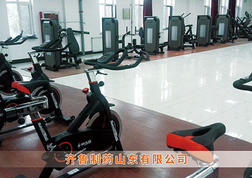 ​米兰(Milan)体育官方网站体育为齐鲁制药呼和浩特分公司打造健身房