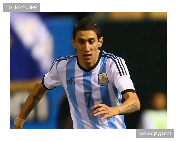 安赫尔·迪马利亚:2014世界杯决赛伤缺对阿根廷影响解析 安赫尔·迪马利亚:2014世界杯决赛伤缺对阿根廷影响解析